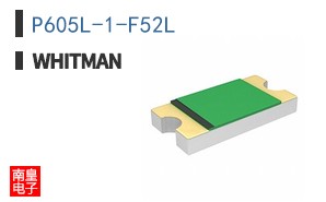 P605L-1-F52L ͼƬ